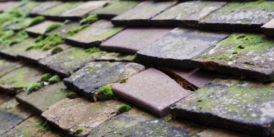Clerkhill roof repair costs